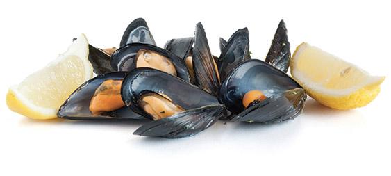 img mussels