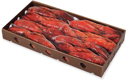 img whole lobster open box